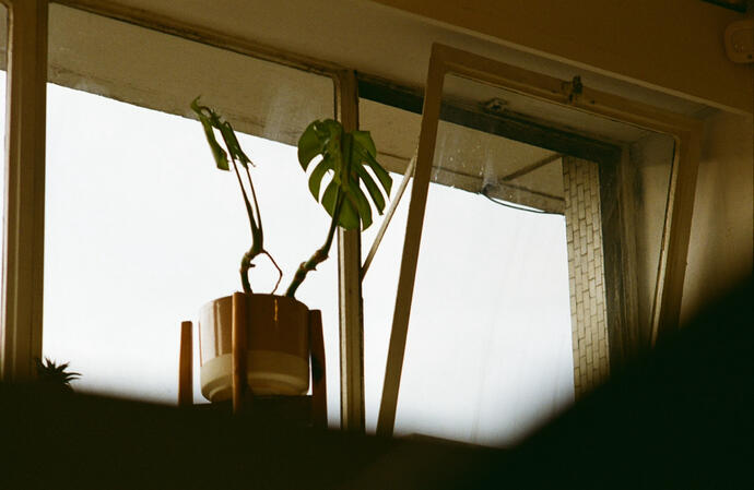 Kodak Gold on an Olympus OM-10.